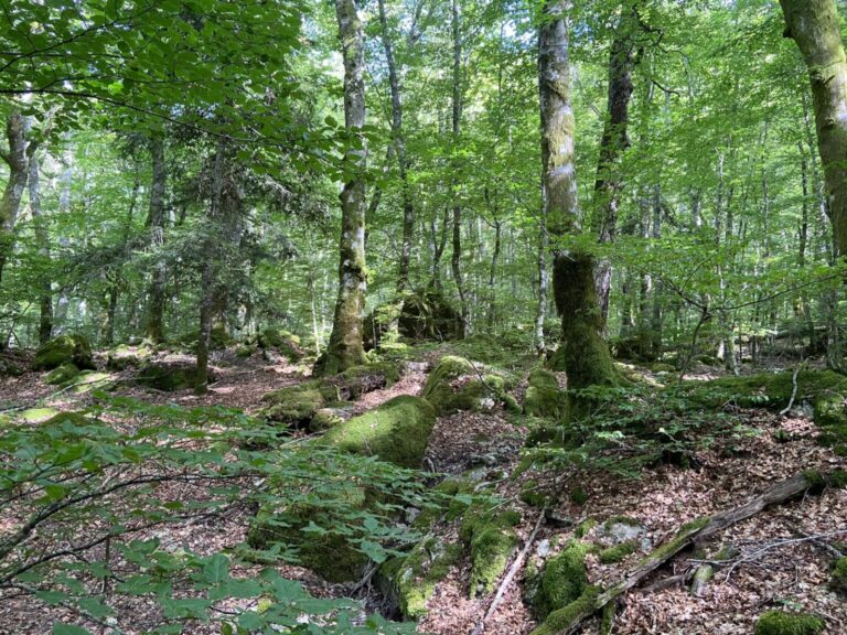 in natura